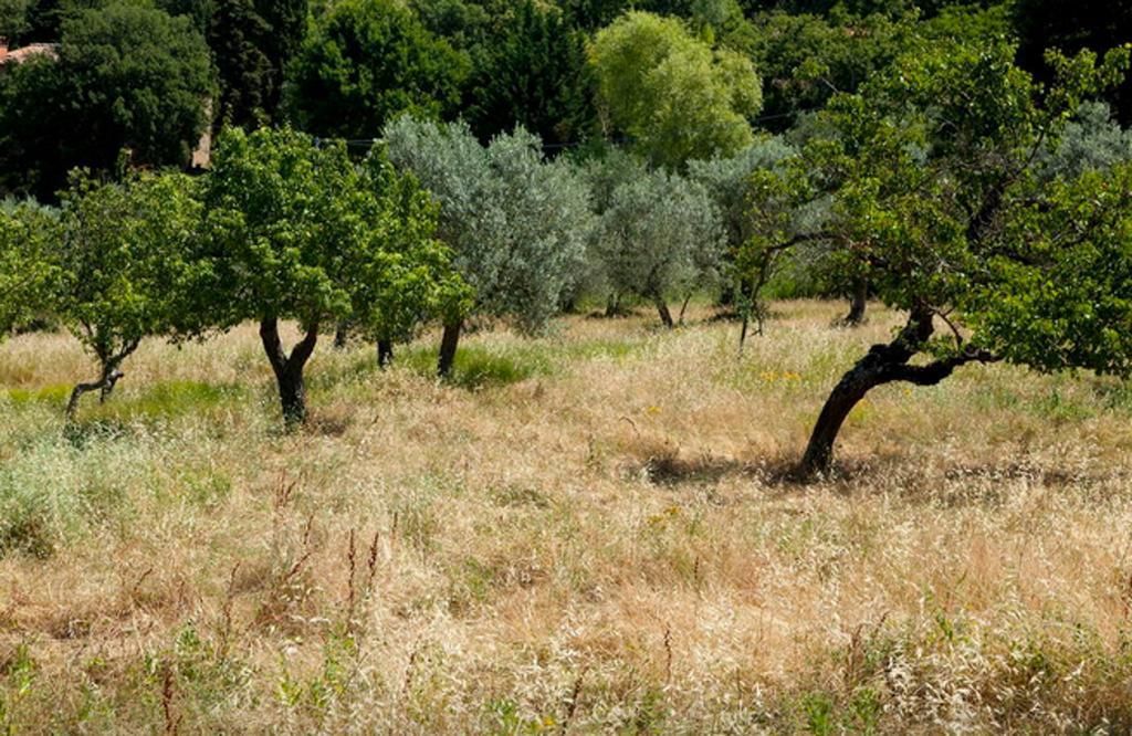 Fattoria La Tavernuzza Grassina Room photo