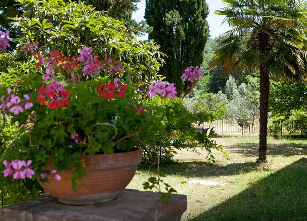 Fattoria La Tavernuzza Grassina Room photo