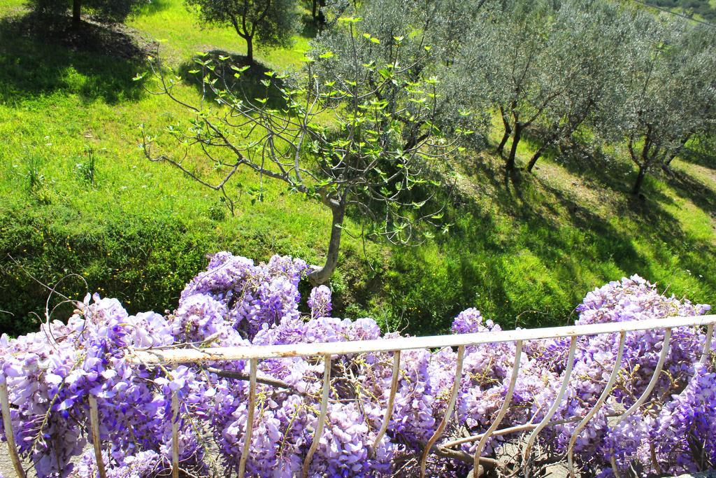 Fattoria La Tavernuzza Grassina Exterior photo