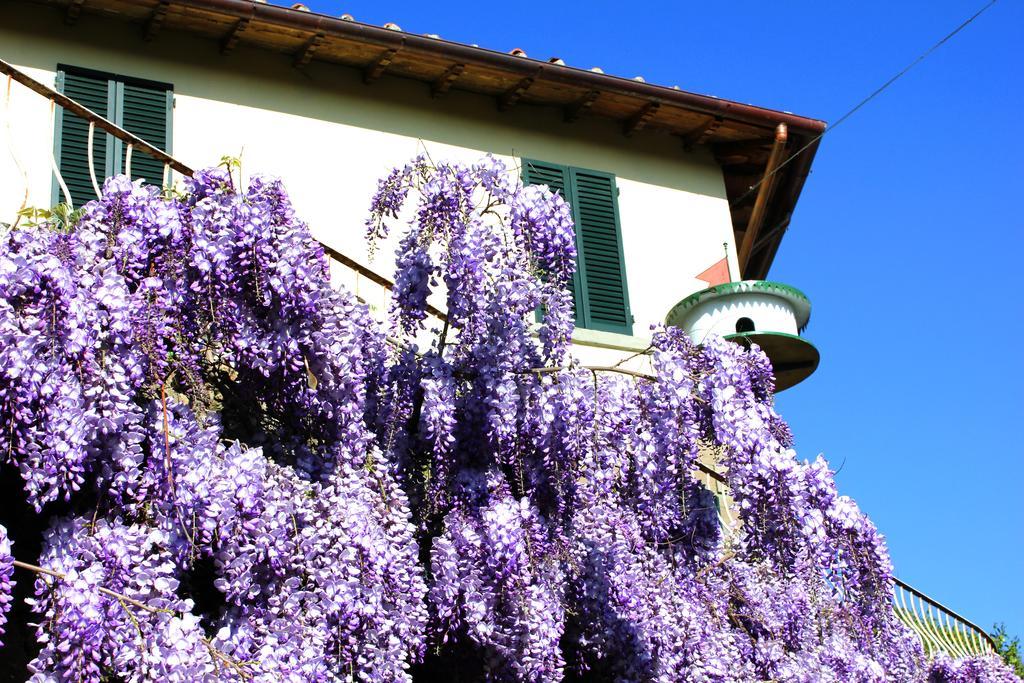 Fattoria La Tavernuzza Grassina Exterior photo