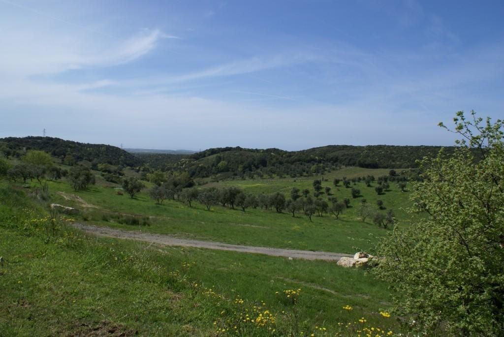 Fattoria La Tavernuzza Grassina Exterior photo